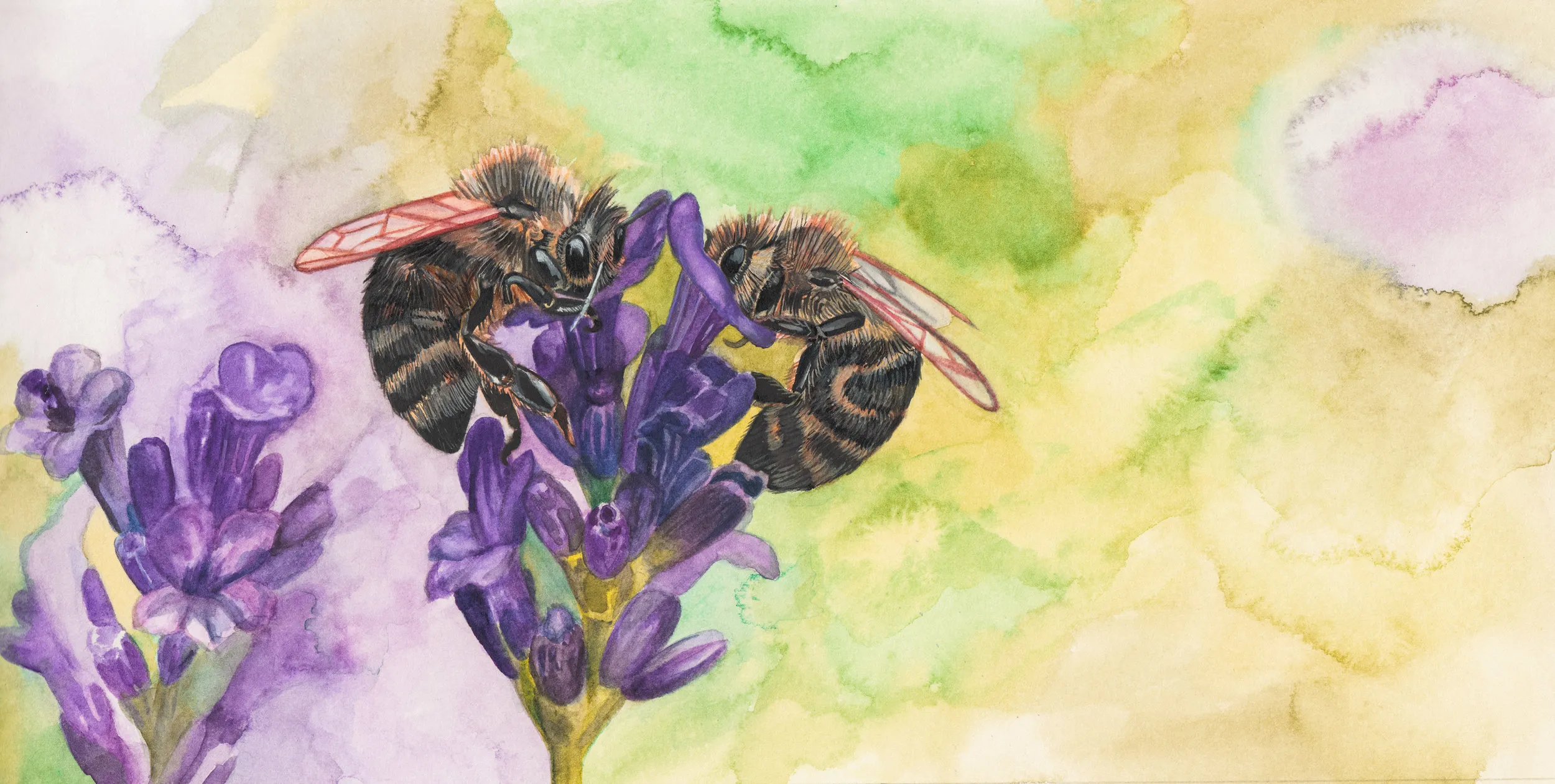  If we were honey bees, Buzzing about the morning dew, No queen could ever take your place, No nectar sweeter than you. 