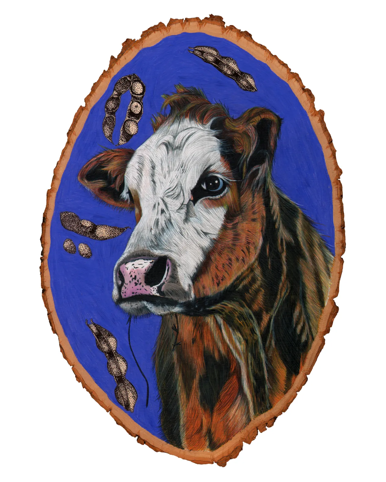 cow8x10.jpg